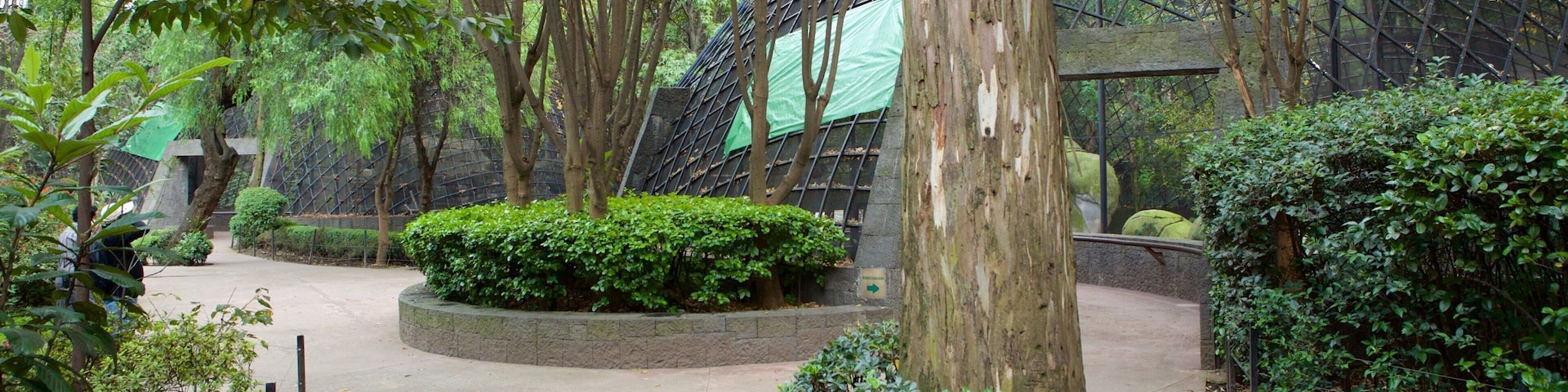 Parque Zoologico de Chapultepec showing a garden and zoo animals