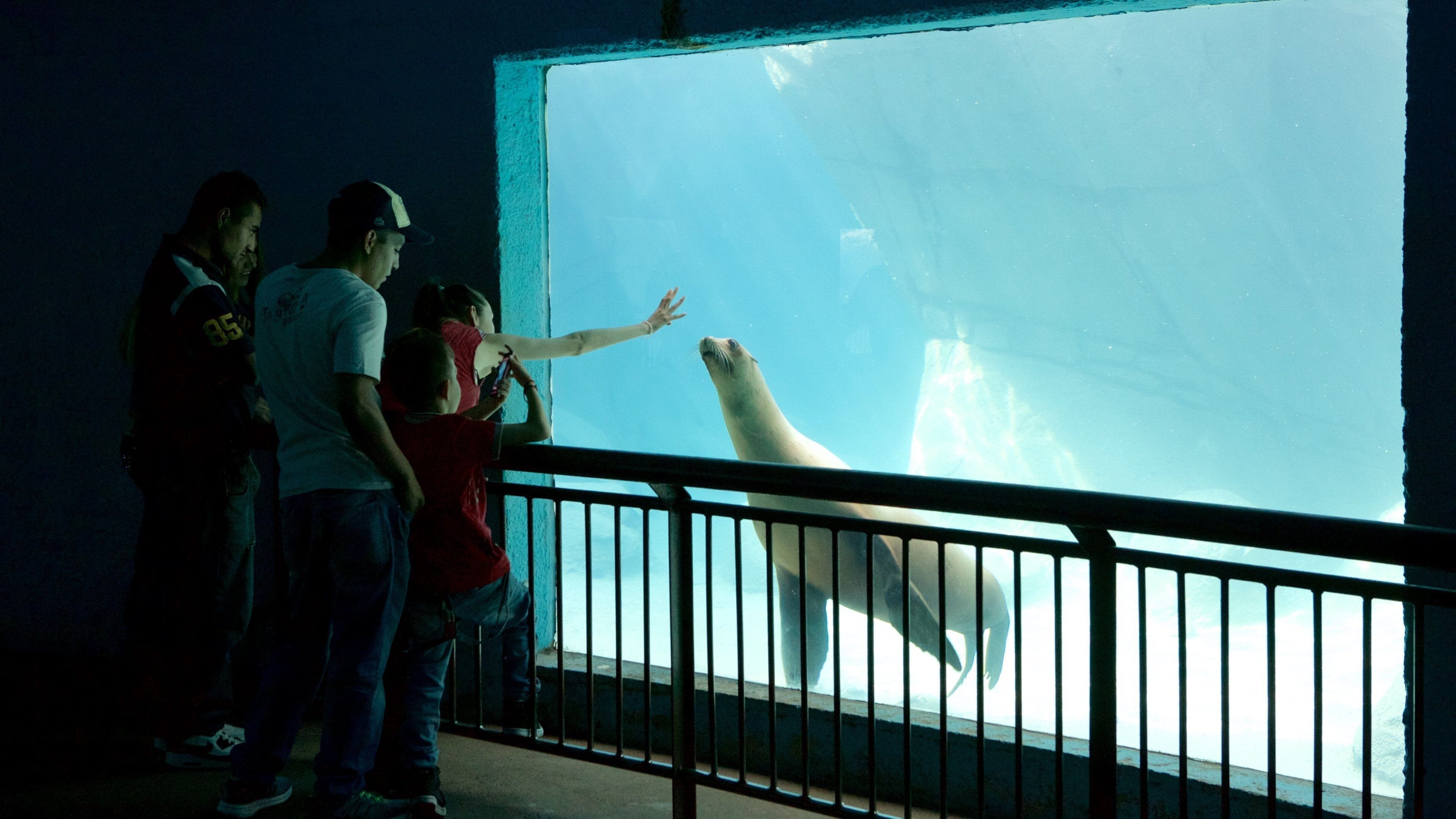 Parc zoologique de Chapultepec qui includes vues intérieures, animaux de zoo et vie marine