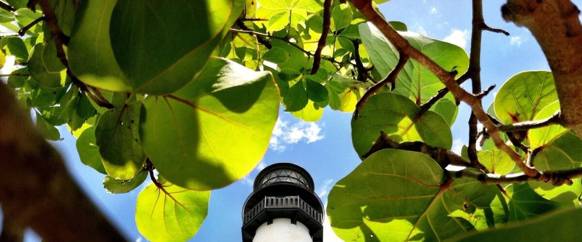 Spend the day at Key Biscayne's Bill Baggs State Park and make sure you climb to the top of the Cape Florida Lighthouse. The views from the top are amazing.