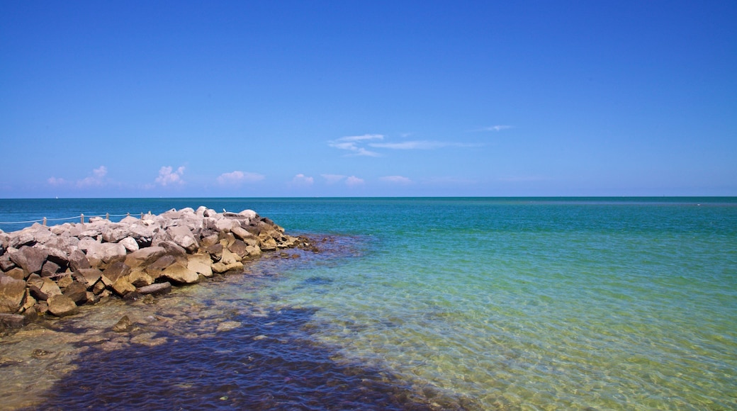 Cape Florida Lighthouse showing general coastal views
