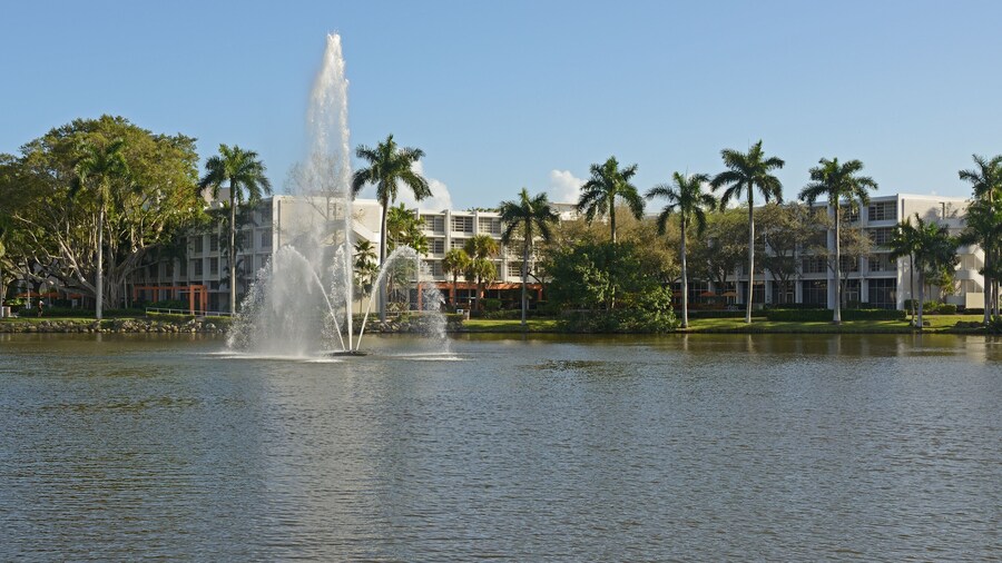 Universidade de Miami