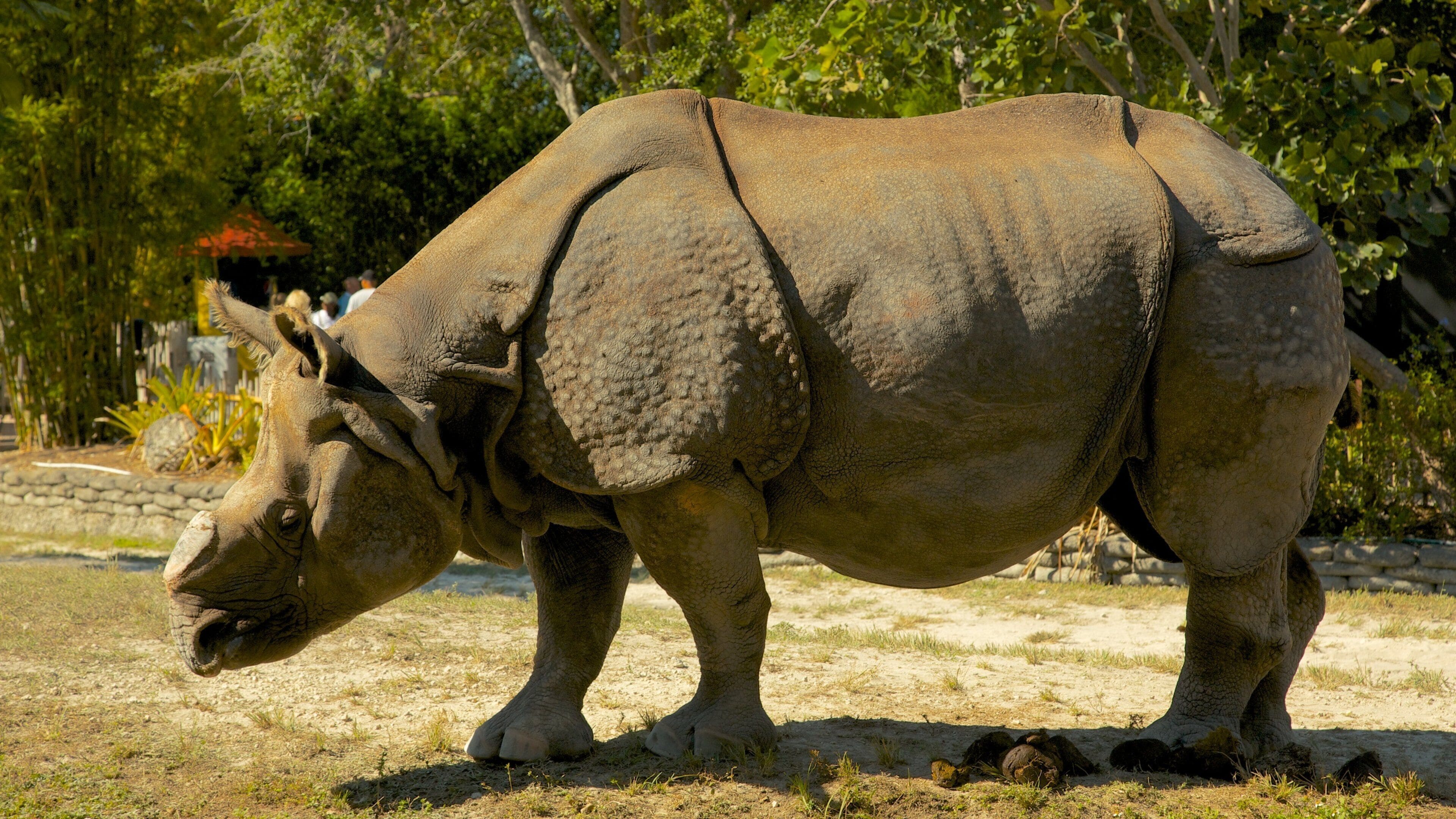 Miami Metrozoo which includes land animals and zoo animals