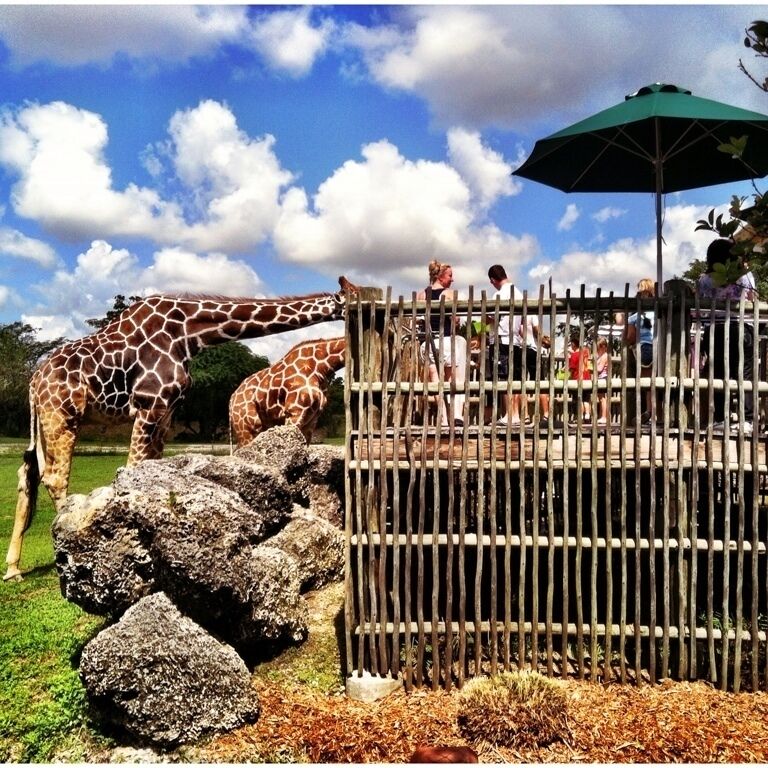 Dyrepark Miami
