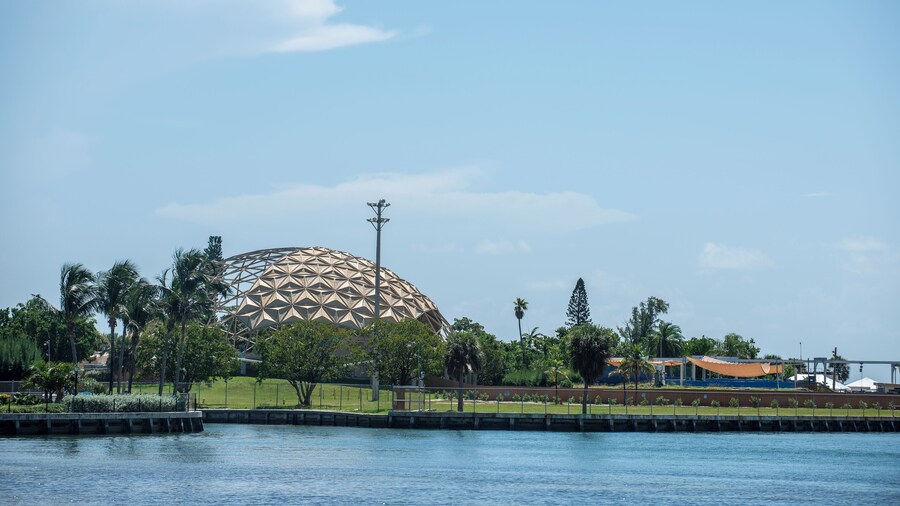 Miami_MiamiSeaquarium_501786-0002