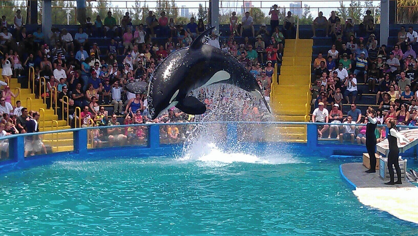 A lot to see here had a great afternoon.