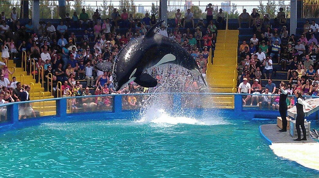 A lot to see here had a great afternoon.