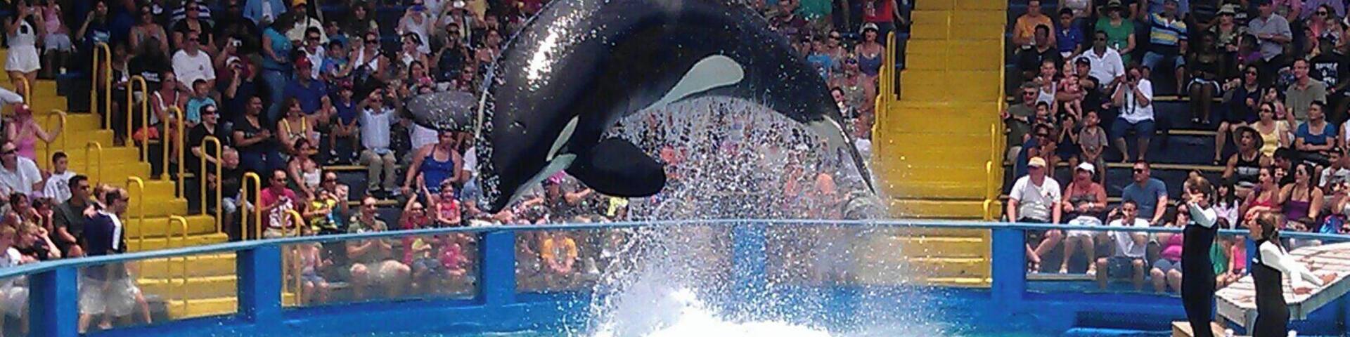 A lot to see here had a great afternoon.