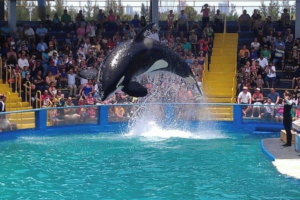 A lot to see here had a great afternoon.