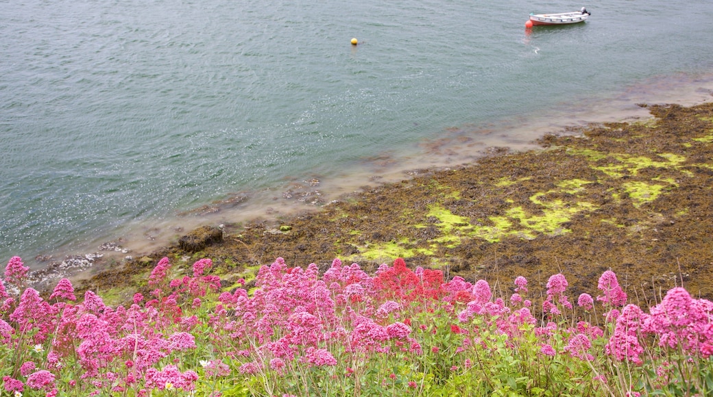 Rosses Point which includes a lake or waterhole, flowers and wildflowers