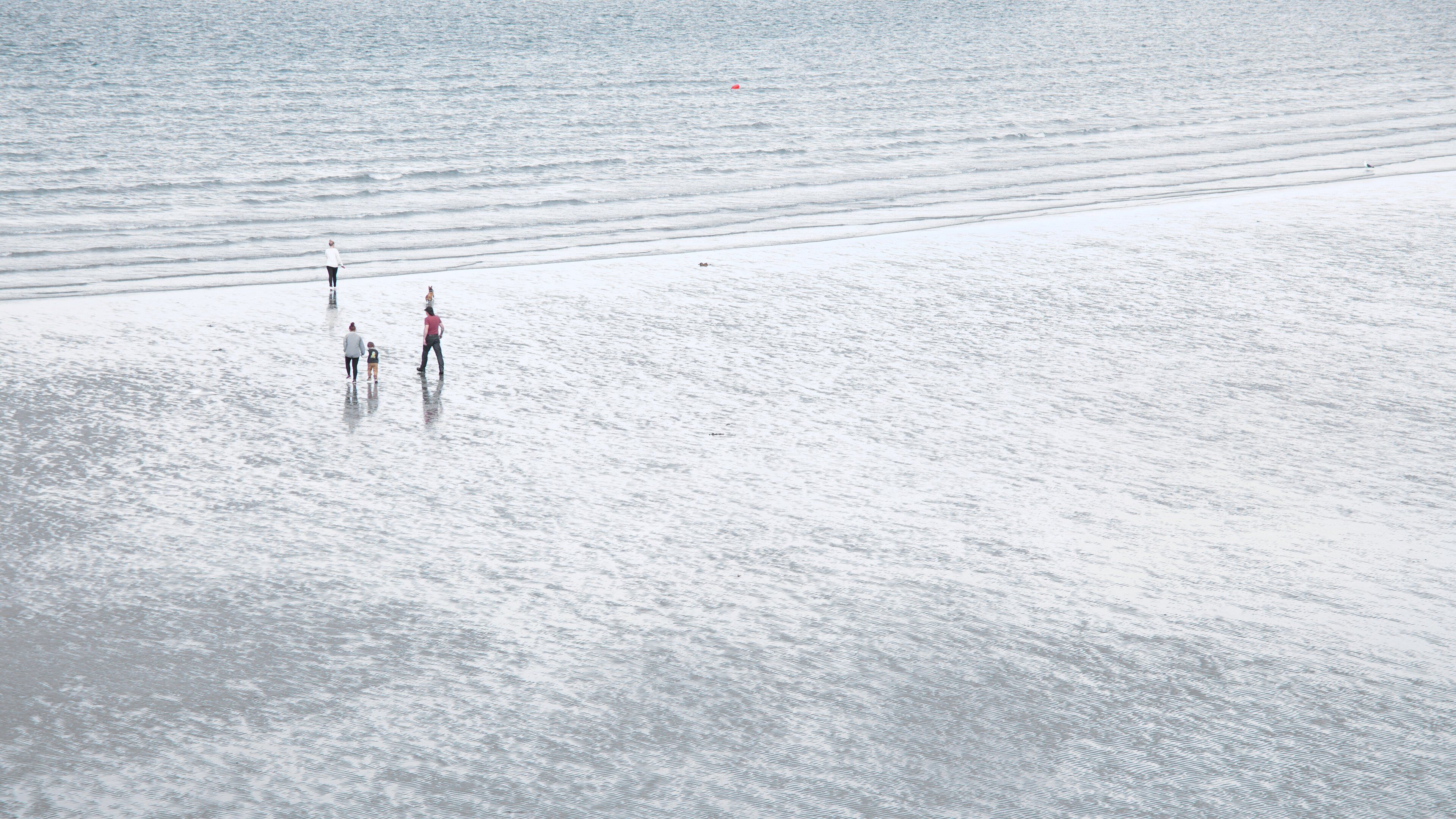Rosses Point which includes a sandy beach and general coastal views as well as a small group of people
