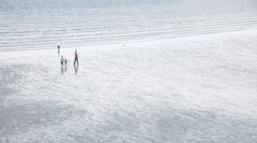 Rosses Point which includes a sandy beach and general coastal views as well as a small group of people