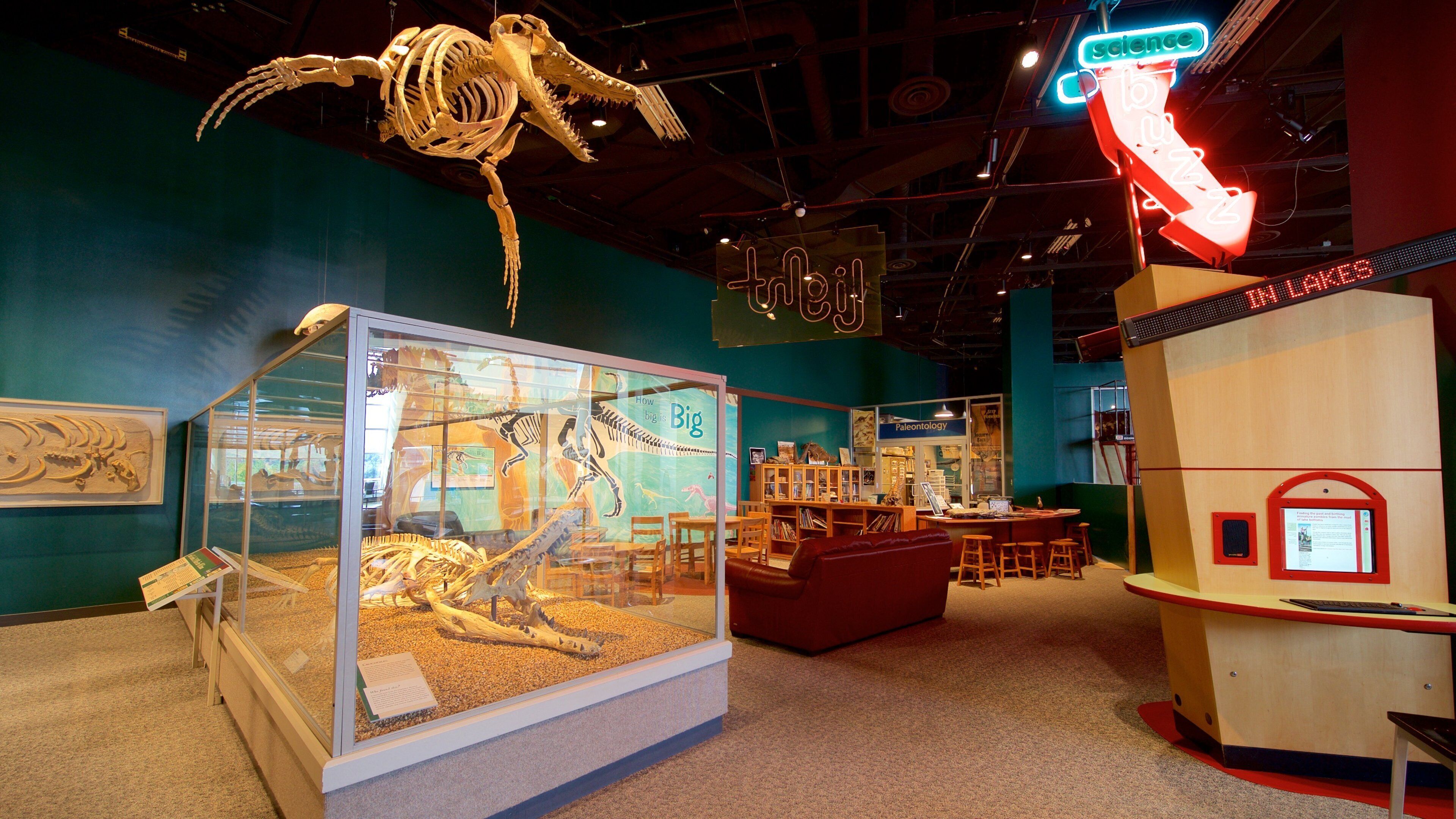 Science Museum of Minnesota