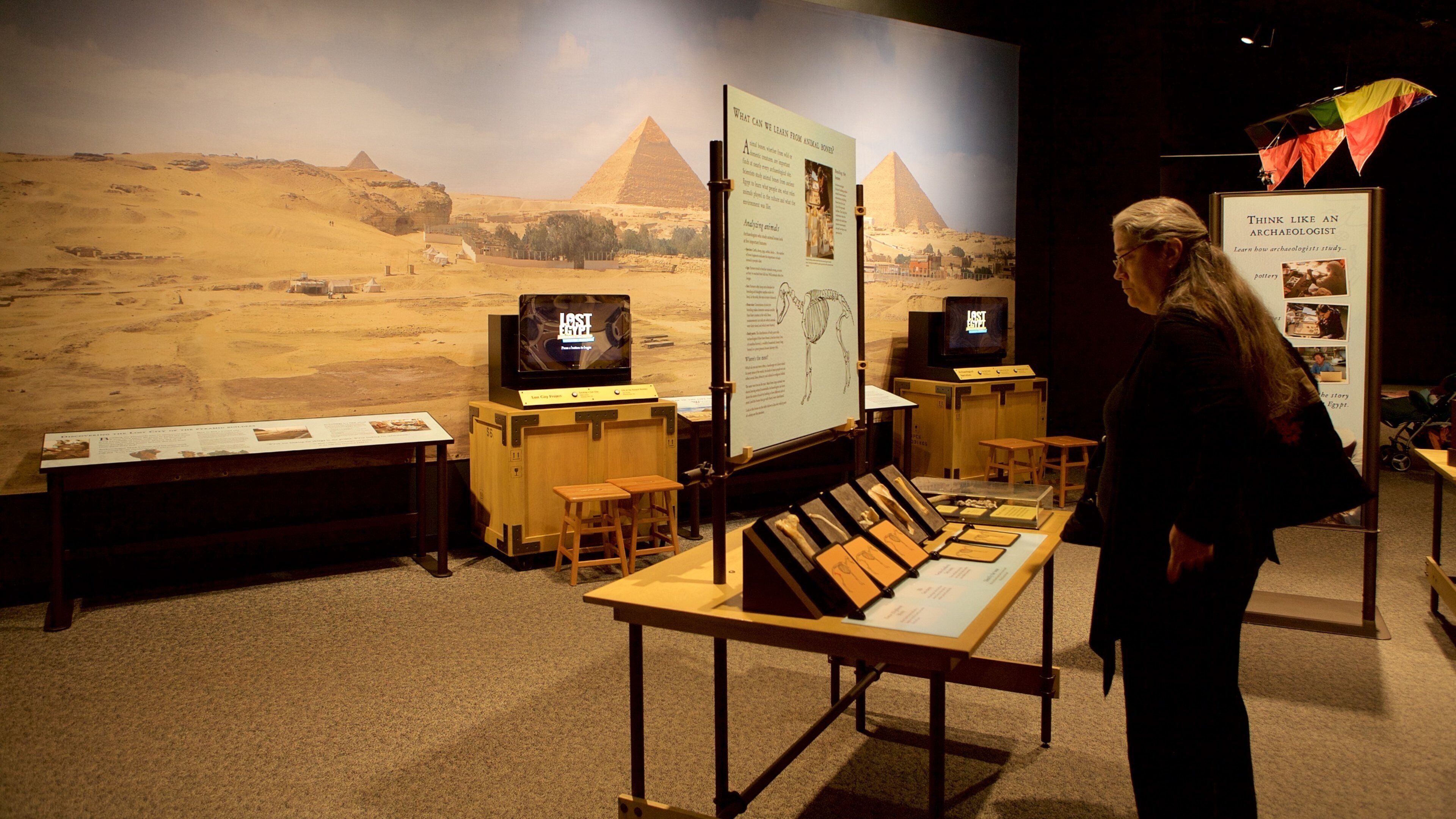 Science Museum of Minnesota which includes interior views as well as an individual femail