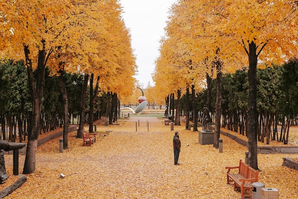 Walker Art Center featuring a garden and autumn leaves as well as an individual male