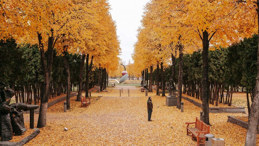 Walker Art Center featuring a garden and autumn leaves as well as an individual male
