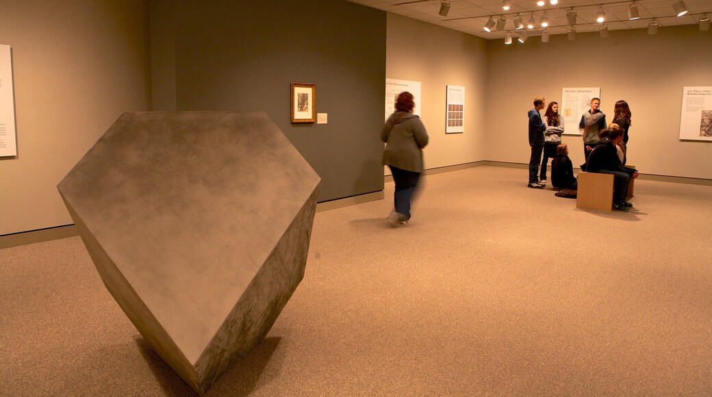 Minneapolis Institute of Arts qui includes vues intérieures et art aussi bien que petit groupe de personnes