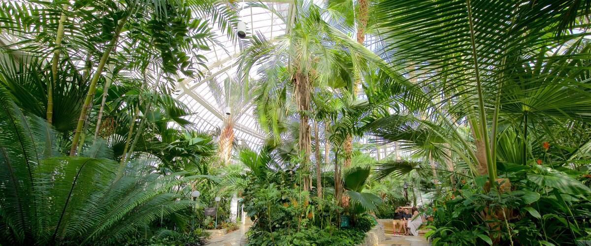 Como Park Zoo and Conservatory