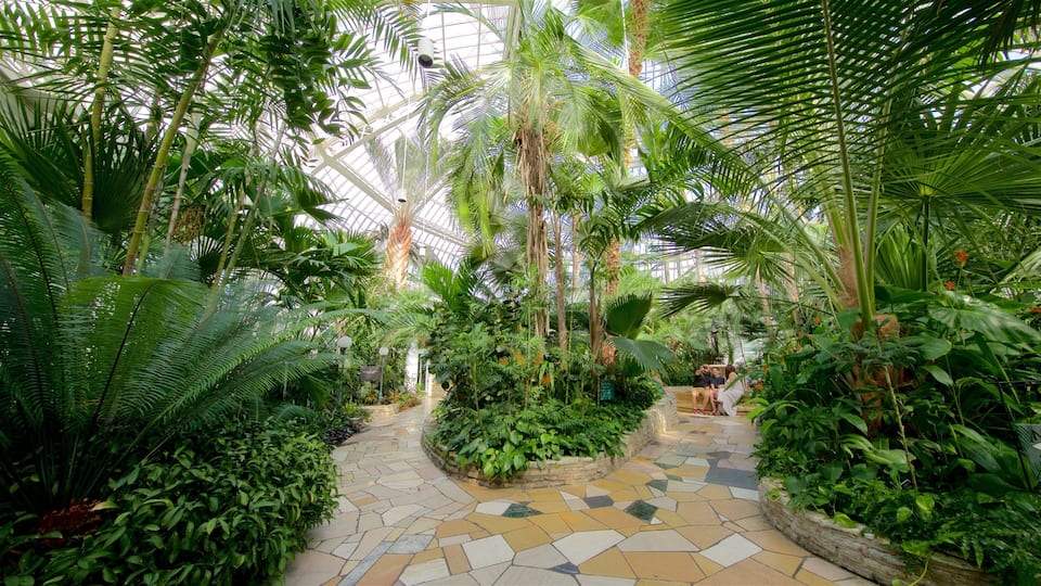 A lush indoor garden with a variety of tropical plants, a mosaic-tiled walkway, and a glass ceiling.