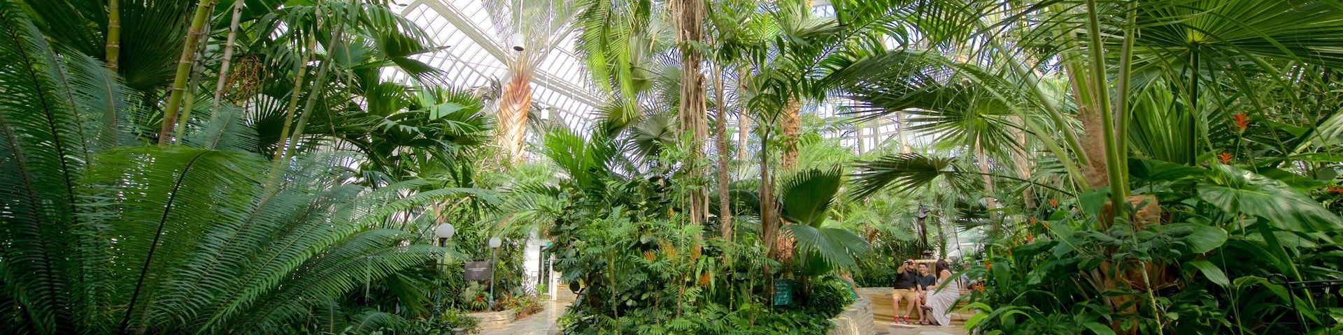 Como Park Zoo and Conservatory