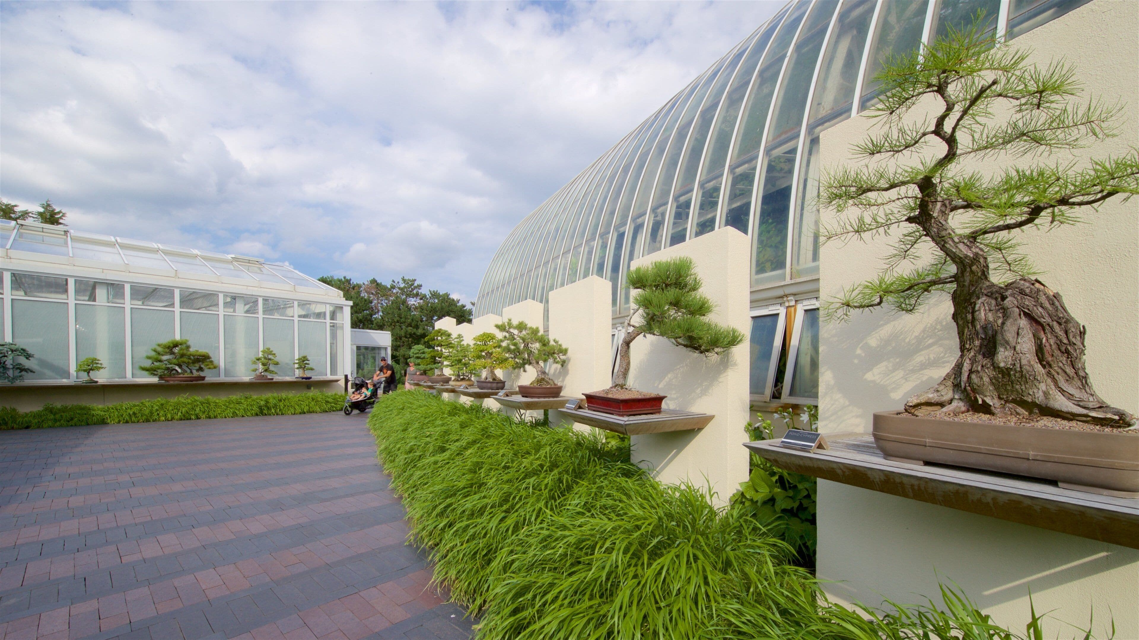 科莫公园动物园和温室