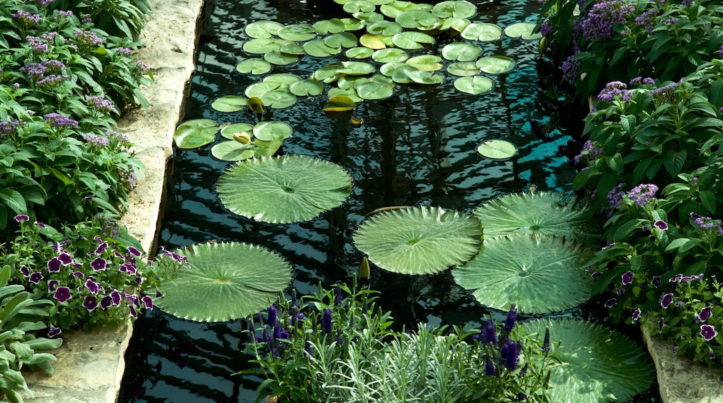 Como Parkin eläintarha ja konservatorio featuring puutarha ja lampi