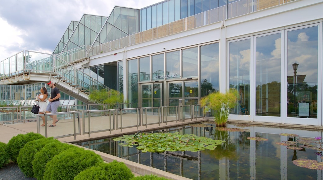 Como Park Zoo and Conservatory