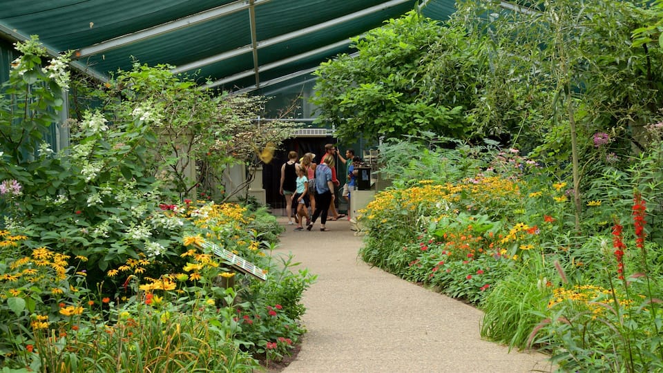 A garden path with diverse flowers and greenery.