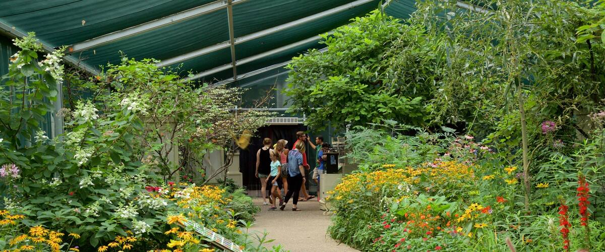 A garden path with diverse flowers and greenery.