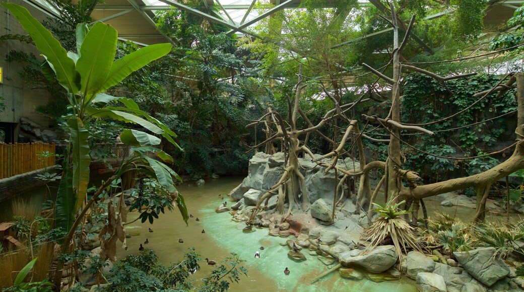 Minnesota Zoo featuring a garden