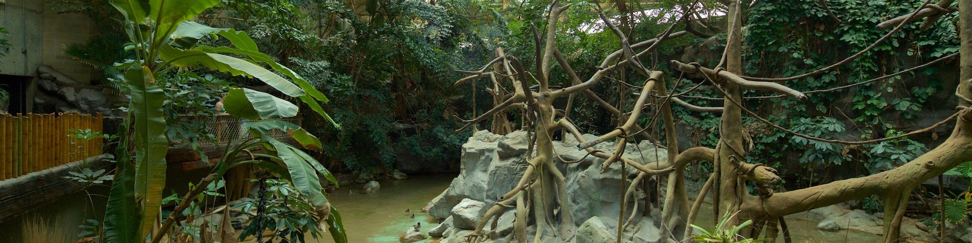 Minnesota Zoo featuring a garden