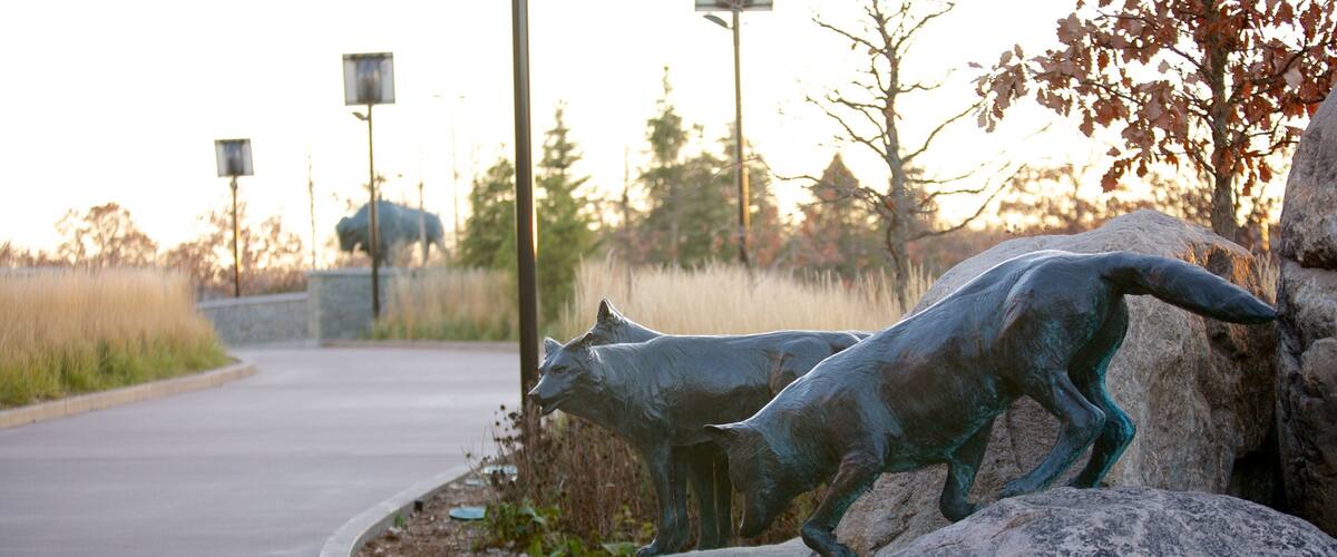 Minnesota Zoo showing outdoor art and a garden