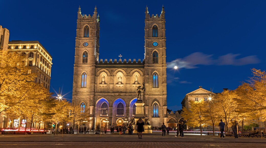 Una catedral histórica con dos torres gemelas y un gran arco central, rodeada de árboles otoñales y una calle concurrida.
