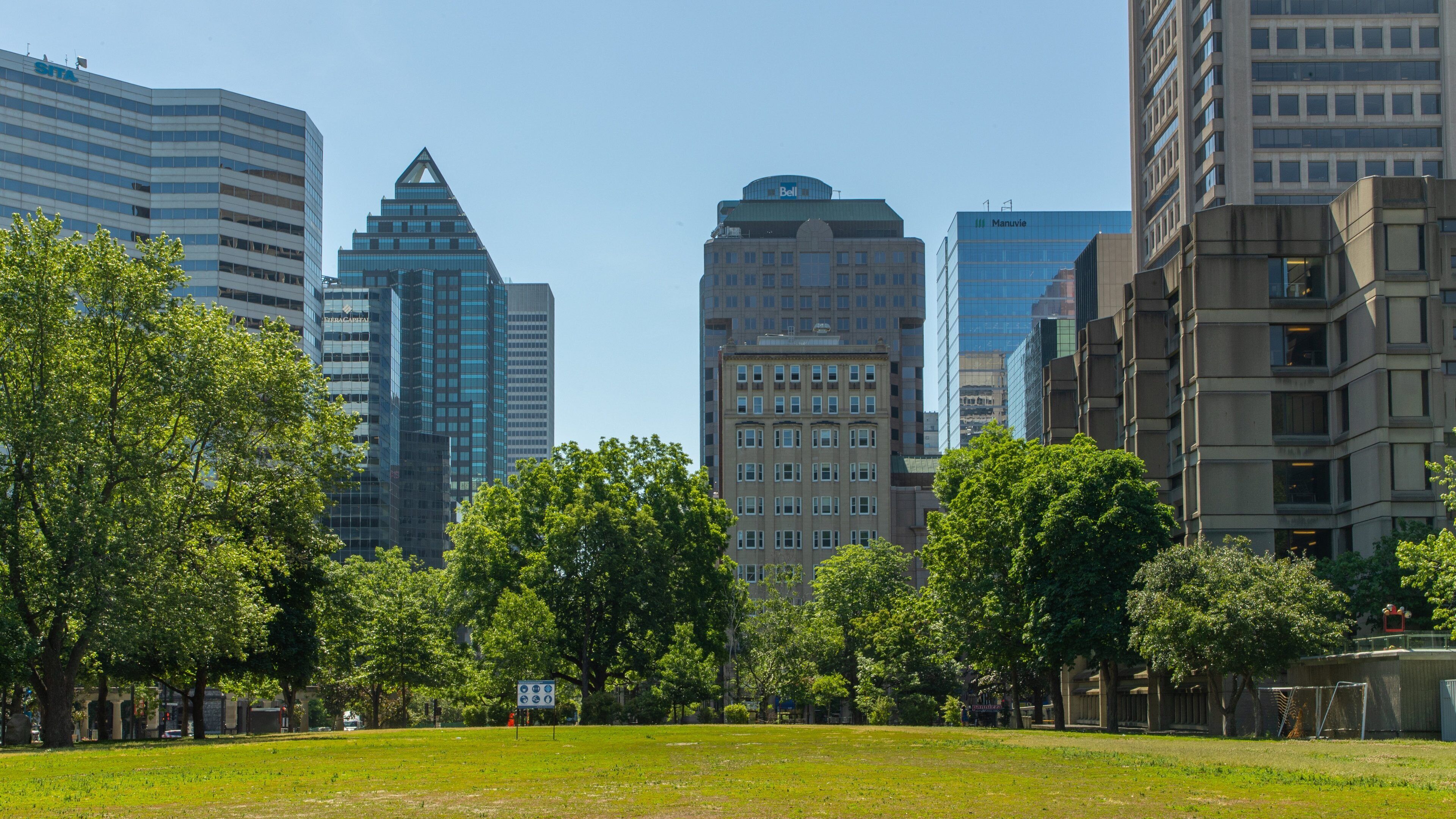 McGill University which includes a garden and a city