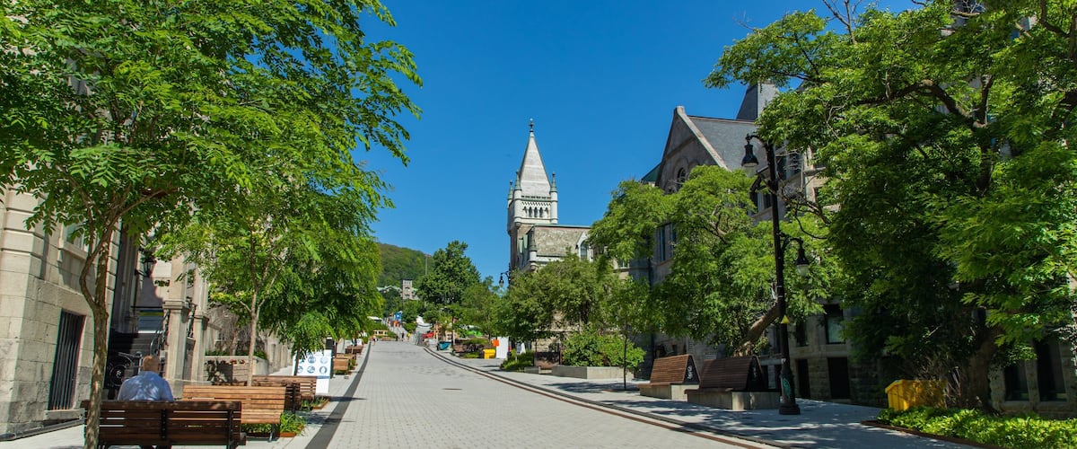 McGill University