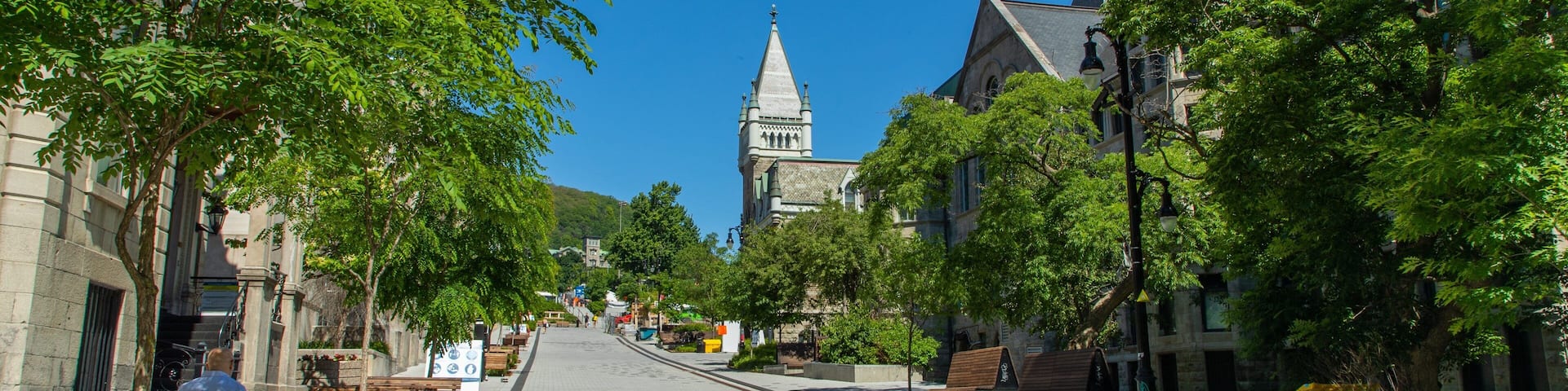 McGill University