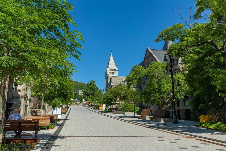 A tree-lined cobblestone street leading to a historic church with a tall spire.