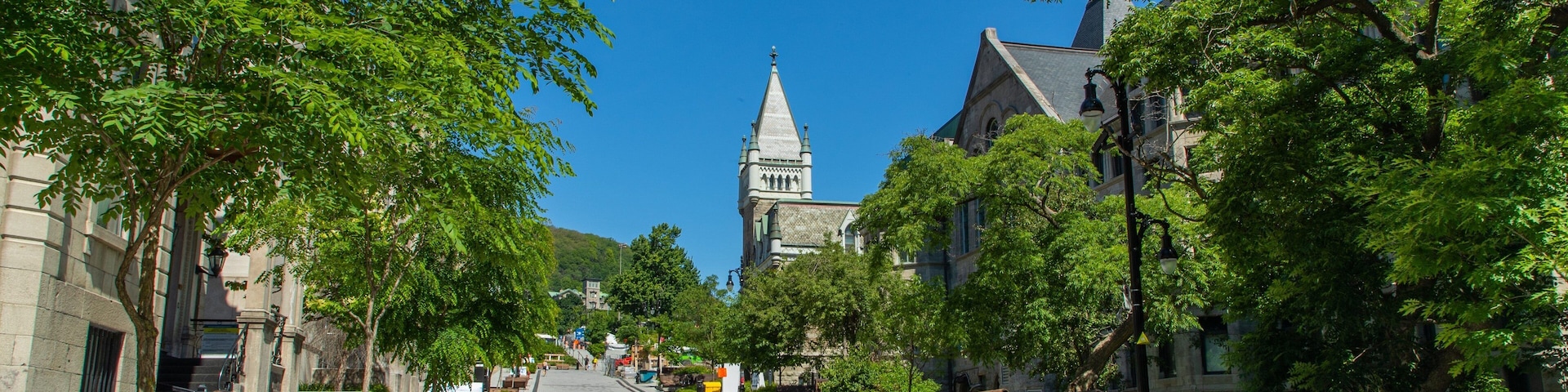 McGill University