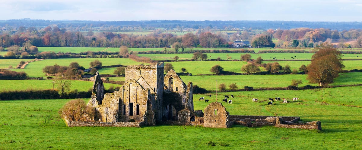 A historic stone ruin in a lush green field with grazing cattle.