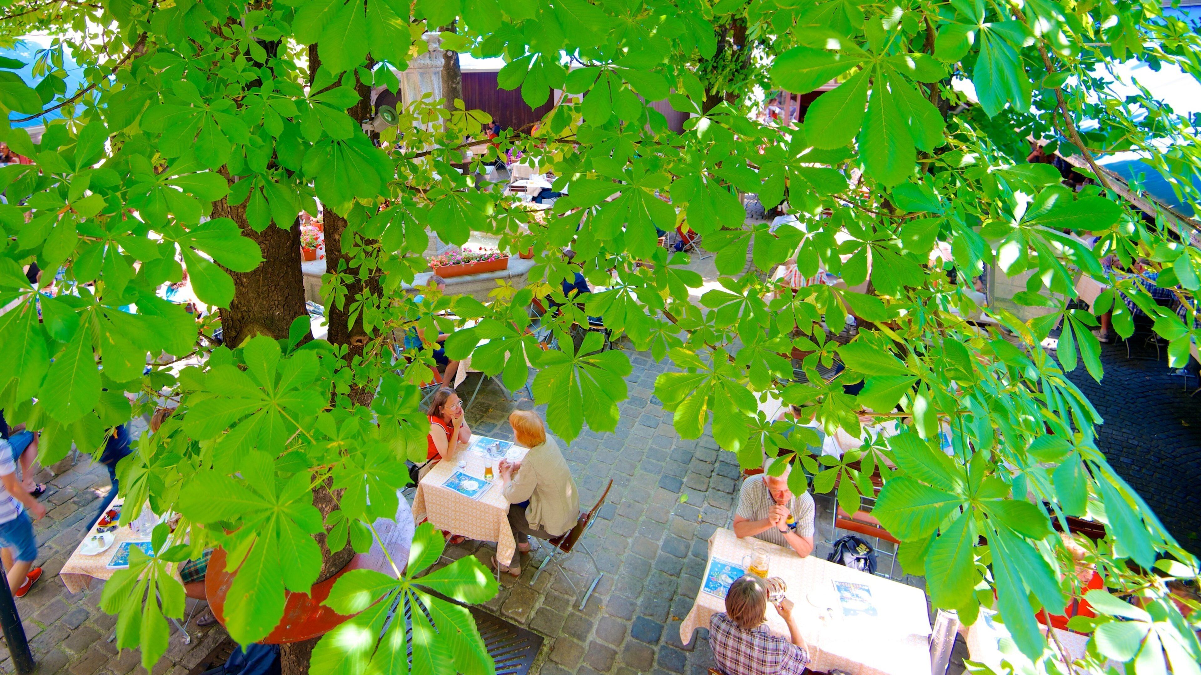 Hofbräuhaus featuring outdoor eating as well as a small group of people