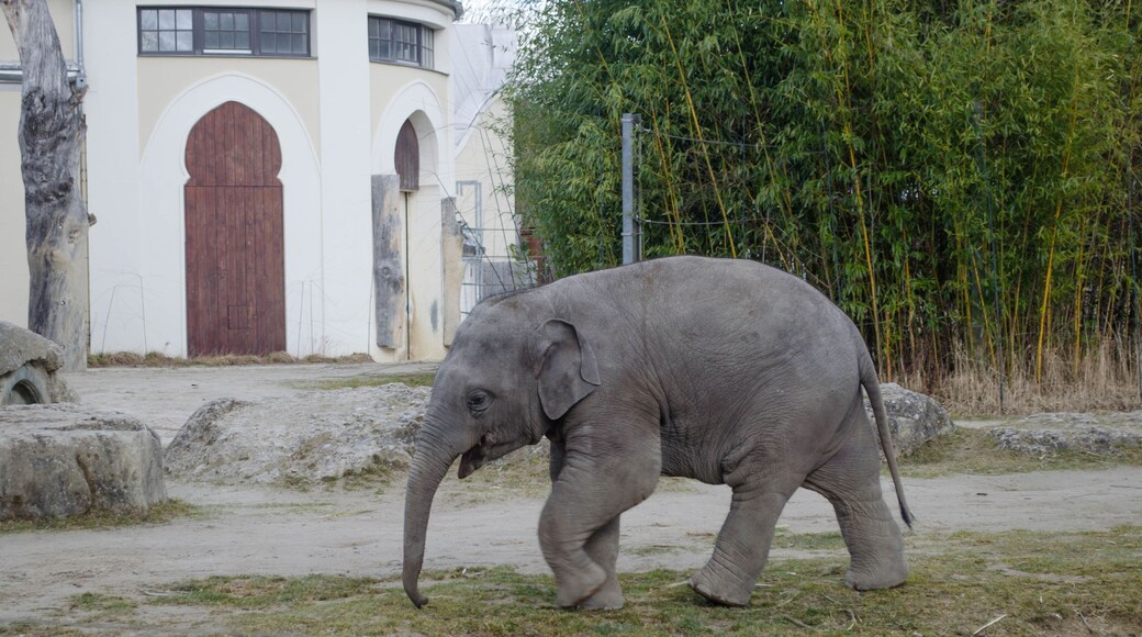 海拉布伦动物园