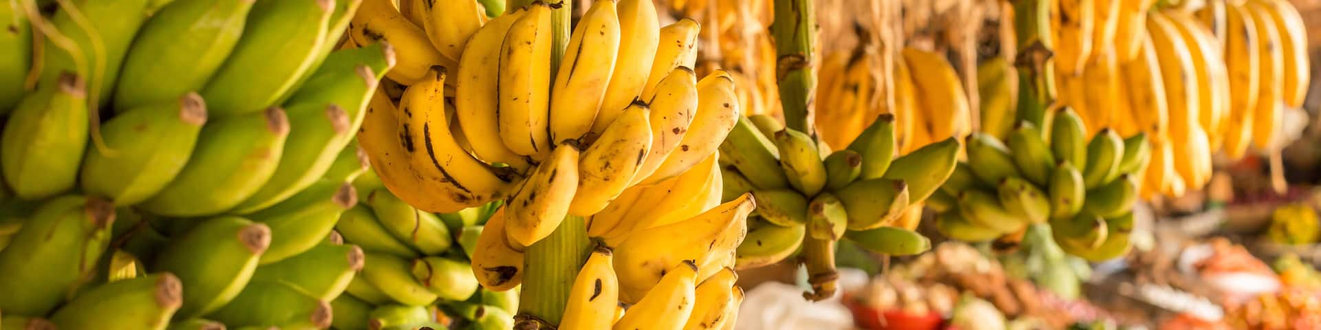 Ripe mangoes stacked at a local fruit and vegetable market in Kenya, Nairobi; Shutterstock ID 124598530; Purchase Order: -