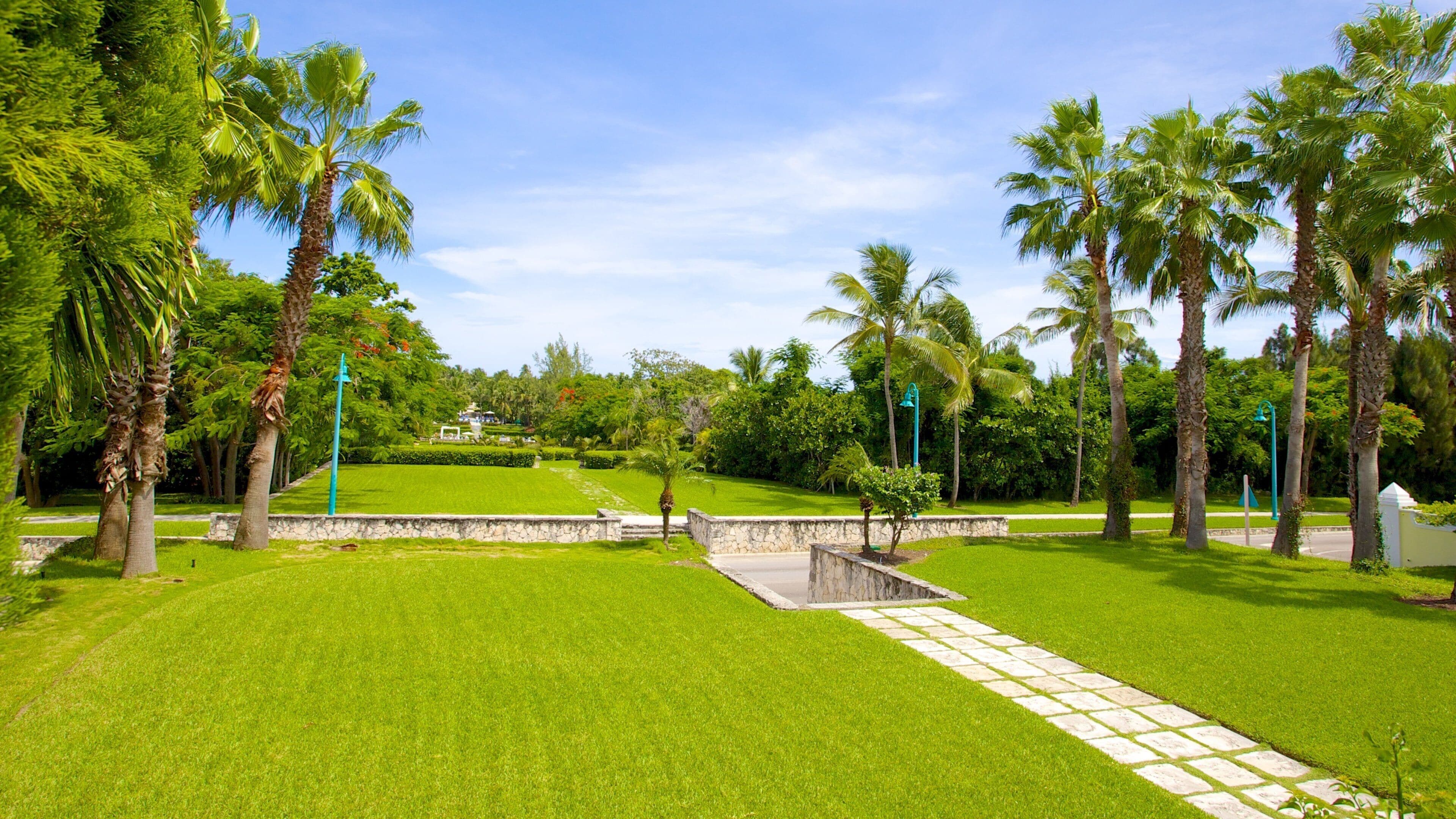 Versailles Gardens showing tropical scenes and a garden