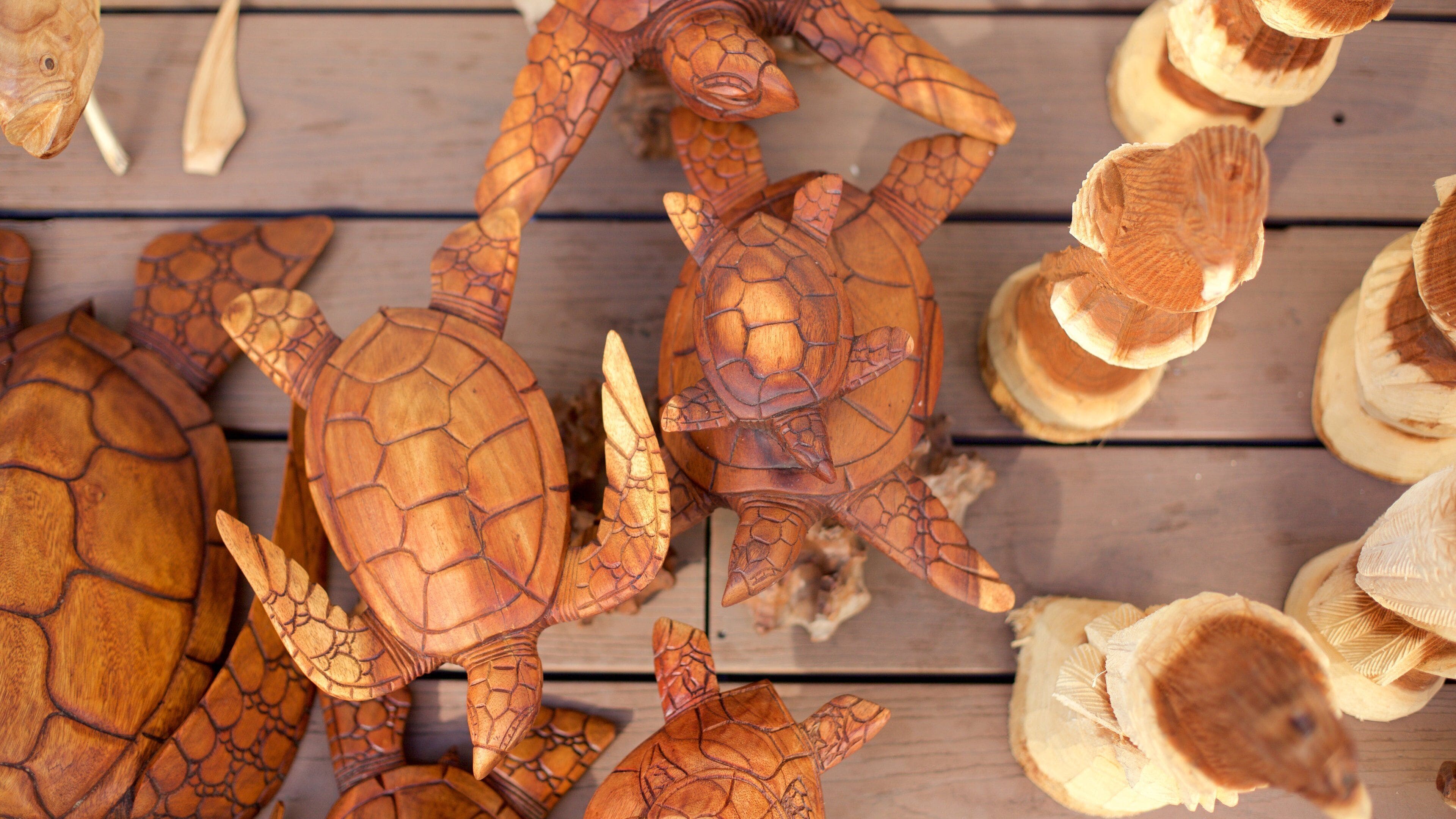 Straw Market showing shopping