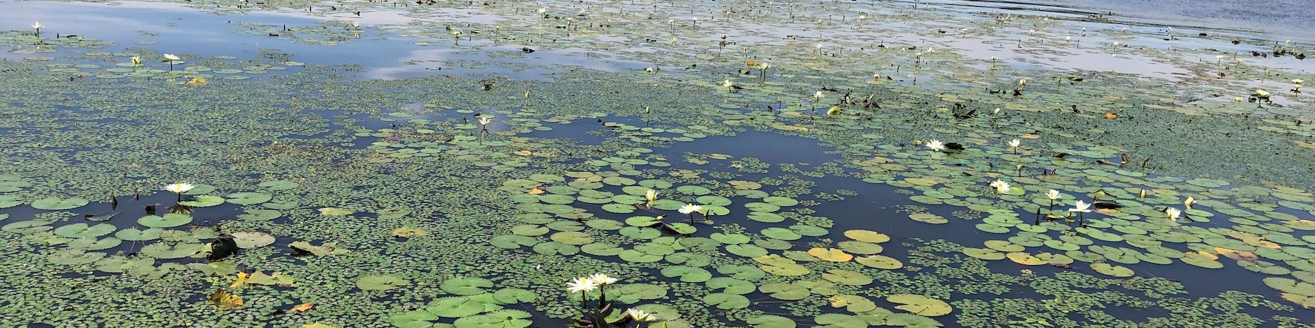 Chobe National Park, Botswana