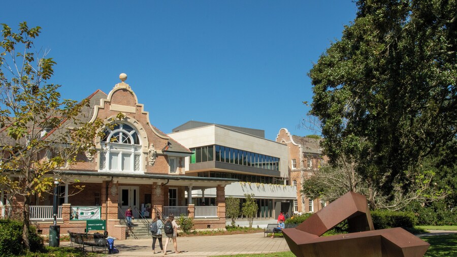NewOrleans_TulaneUniversity_502027_07
