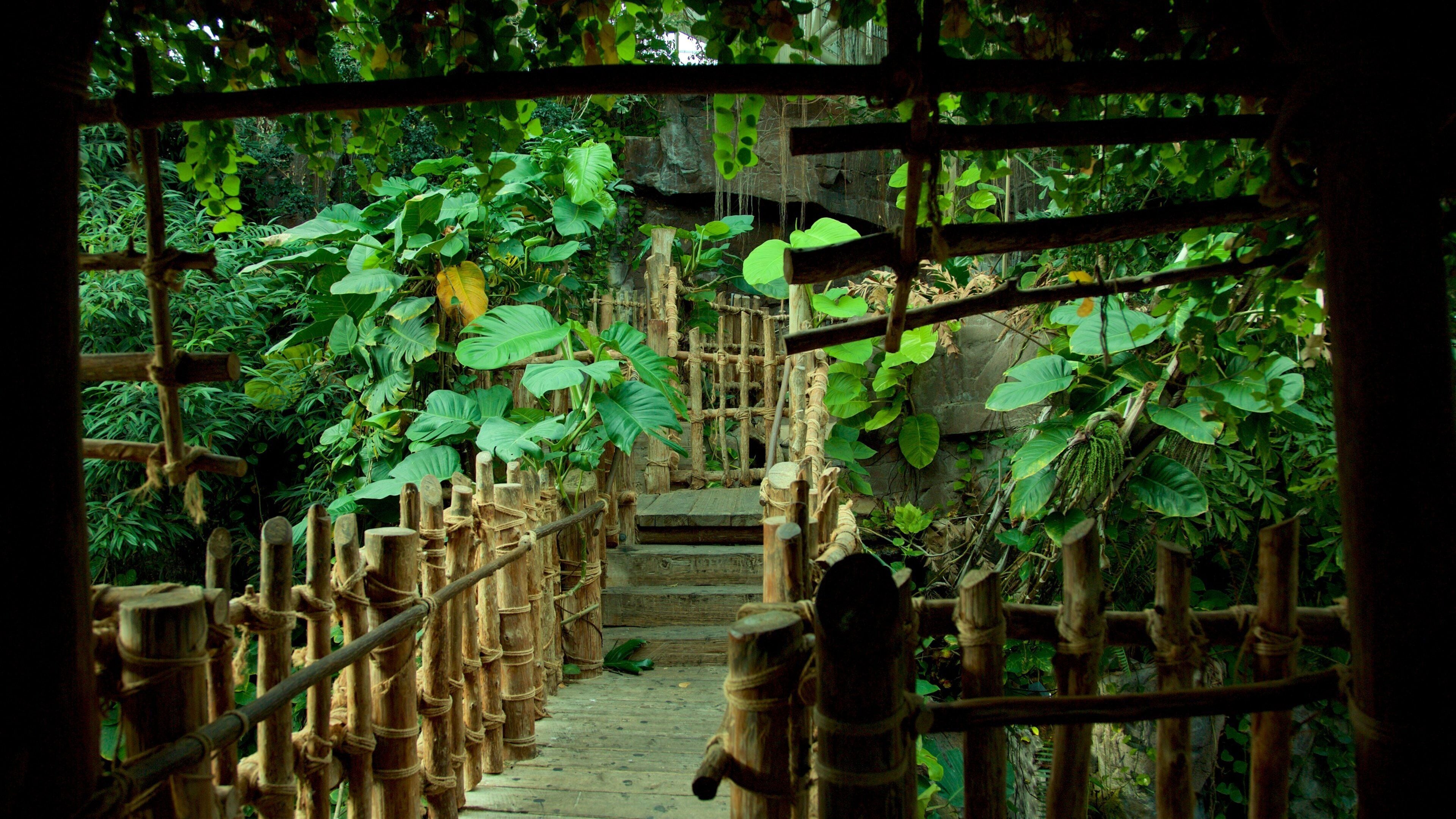 Audubon akvarium of the Americas som viser dyrehagedyr