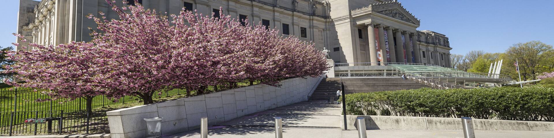 A classical building with columns and a dome, surrounded by a walkway and blooming pink trees.