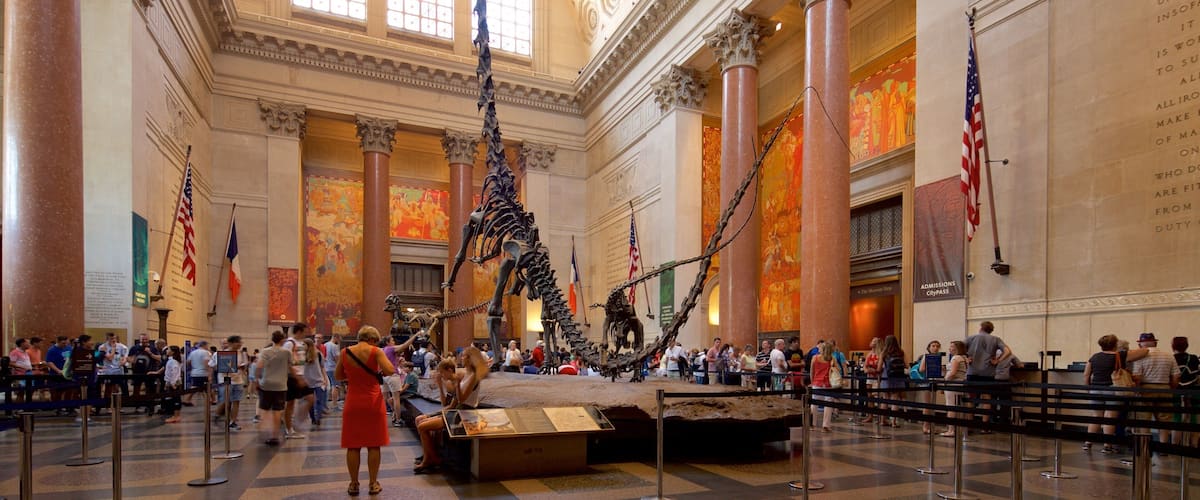 Museo Americano de Historia Natural