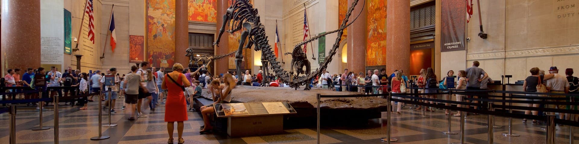 American Museum of Natural History mit einem Geschichtliches und Innenansichten sowie kleine Menschengruppe