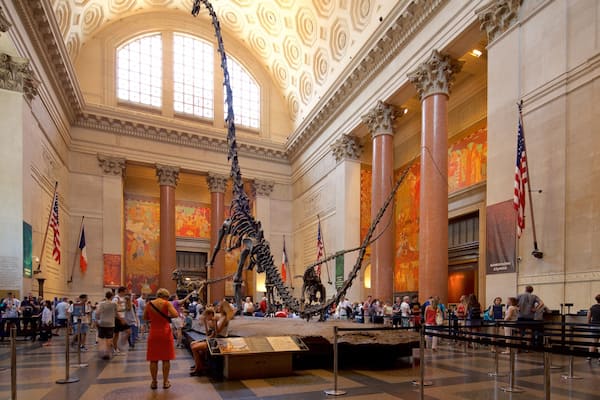 American Museum of Natural History mit einem Geschichtliches und Innenansichten sowie kleine Menschengruppe